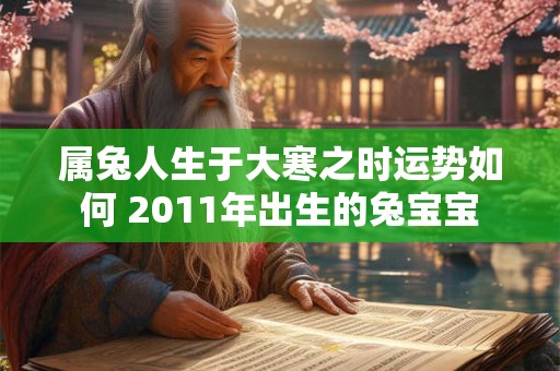 属兔人生于大寒之时运势如何 2011年出生的兔宝宝