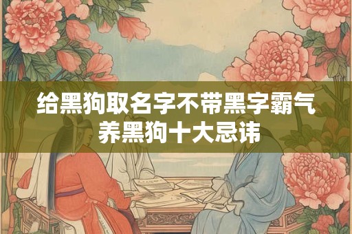 给黑狗取名字不带黑字霸气 养黑狗十大忌讳