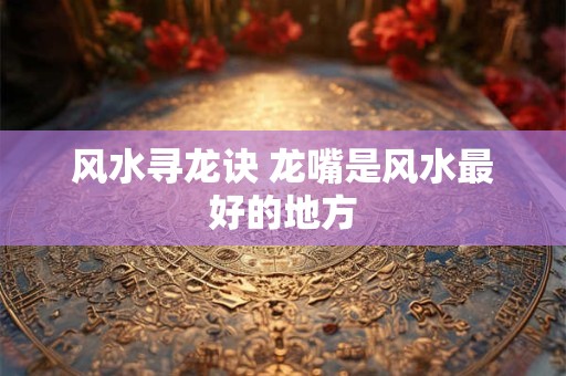 风水寻龙诀 龙嘴是风水最好的地方