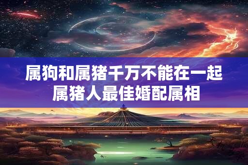 属狗和属猪千万不能在一起 属猪人最佳婚配属相