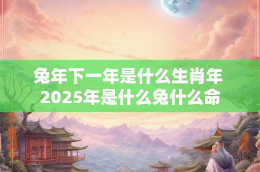 兔年下一年是什么生肖年 2026年是什么兔什么命 兔年下一年是什么生肖年 2026年是什么兔什么命
