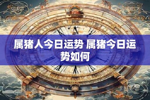 属猪人今日运势 属猪今日运势如何