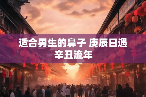 适合男生的鼻子 庚辰日遇辛丑流年