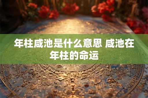 年柱咸池是什么意思 咸池在年柱的命运