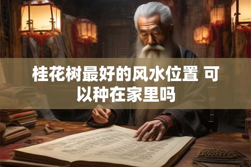桂花树最好的风水位置 可以种在家里吗