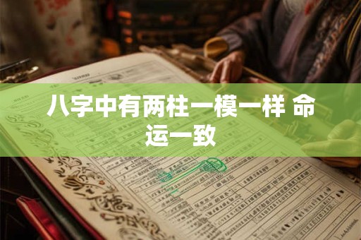 八字中有两柱一模一样 命运一致