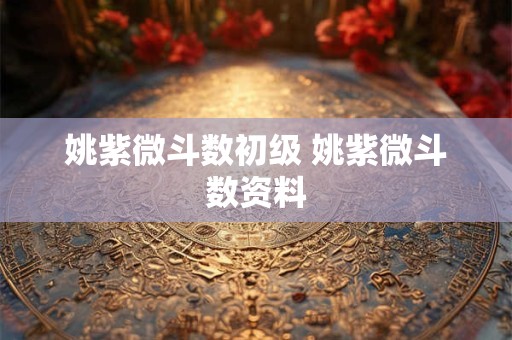 姚紫微斗数初级 姚紫微斗数资料