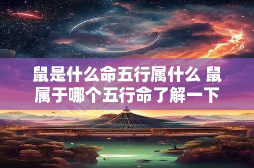 鼠是什么命五行属什么 鼠属于哪个五行命了解一下