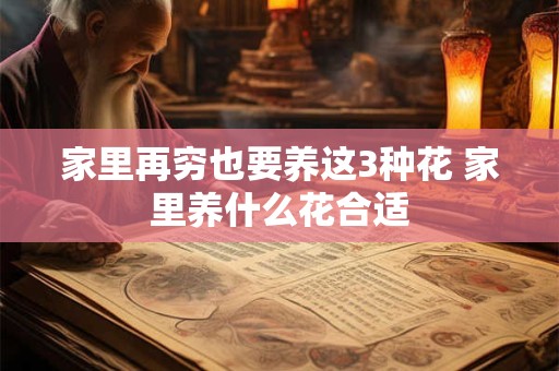 家里再穷也要养这3种花 家里养什么花合适