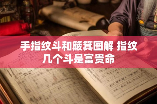 手指纹斗和簸箕图解 指纹几个斗是富贵命