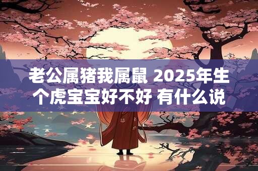 老公属猪我属鼠 2025年生个虎宝宝好不好 有什么说法