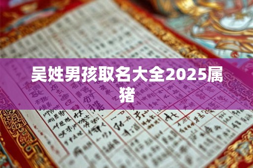 吴姓男孩取名大全2025属猪