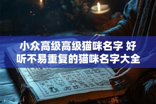 小众高级高级猫咪名字 好听不易重复的猫咪名字大全