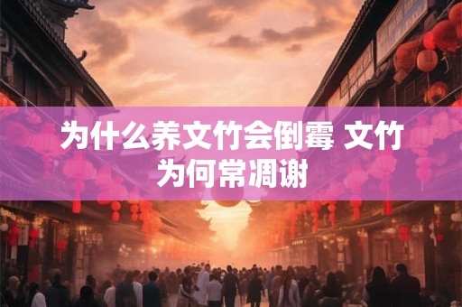 为什么养文竹会倒霉 文竹为何常凋谢
