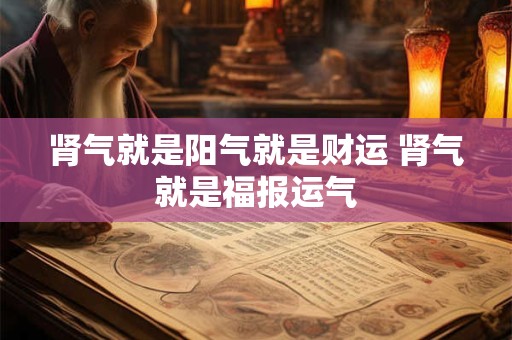 肾气就是阳气就是财运 肾气就是福报运气