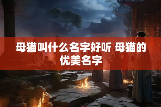 母猫叫什么名字好听 母猫的优美名字
