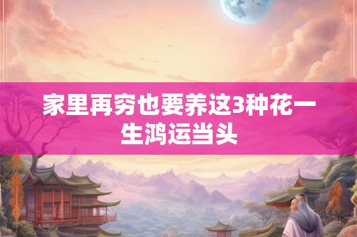 家里再穷也要养这3种花一生鸿运当头