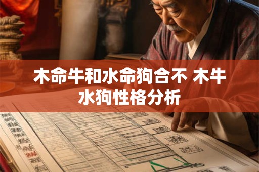 木命牛和水命狗合不 木牛水狗性格分析