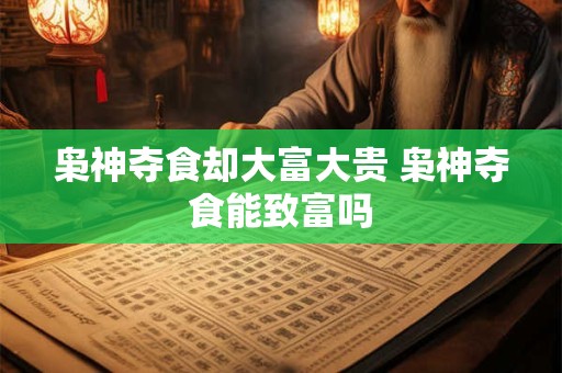 枭神夺食却大富大贵 枭神夺食能致富吗