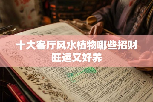 十大客厅风水植物哪些招财旺运又好养