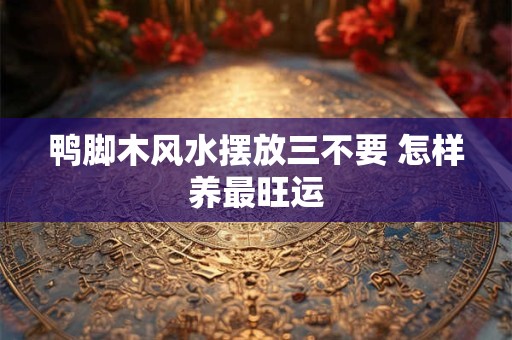 鸭脚木风水摆放三不要 怎样养最旺运