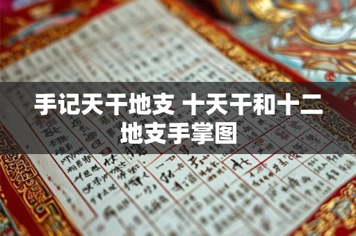 手记天干地支 十天干和十二地支手掌图