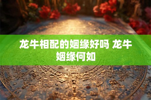 龙牛相配的姻缘好吗 龙牛姻缘何如