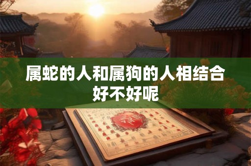 属蛇的人和属狗的人相结合好不好呢