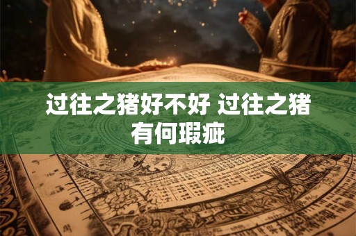 过往之猪好不好 过往之猪有何瑕疵