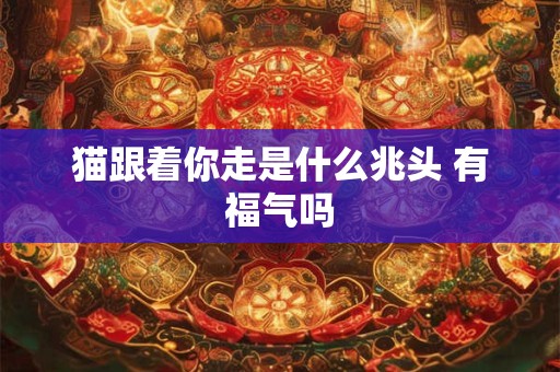 猫跟着你走是什么兆头 有福气吗