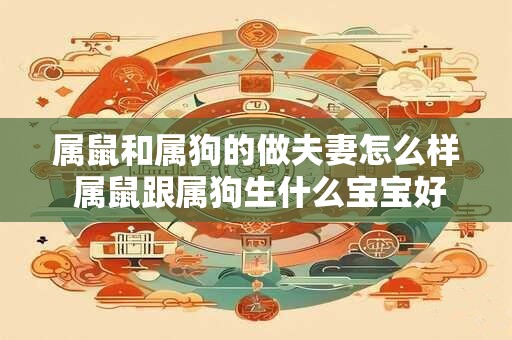 属鼠和属狗的做夫妻怎么样 属鼠跟属狗生什么宝宝好