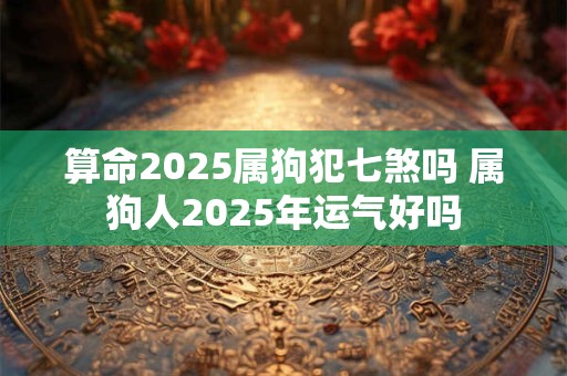 算命2025属狗犯七煞吗 属狗人2025年运气好吗