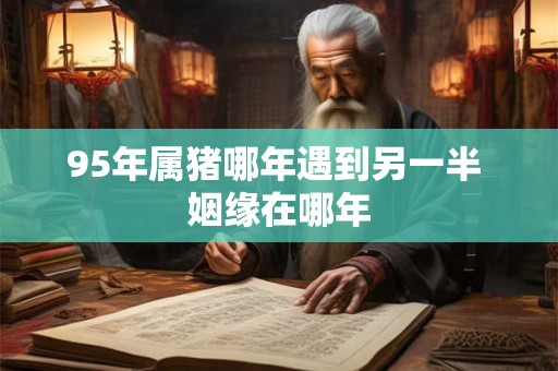 95年属猪哪年遇到另一半 姻缘在哪年