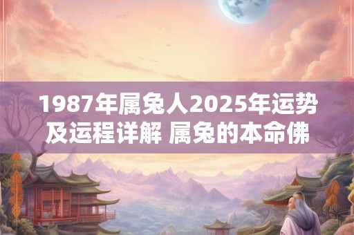 1987年属兔人2026年运势及运程详解 属兔的本命佛是什么