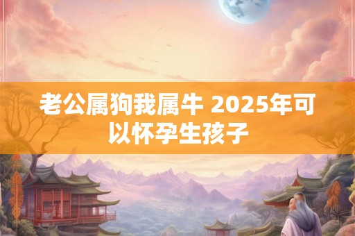 老公属狗我属牛 2025年可以怀孕生孩子