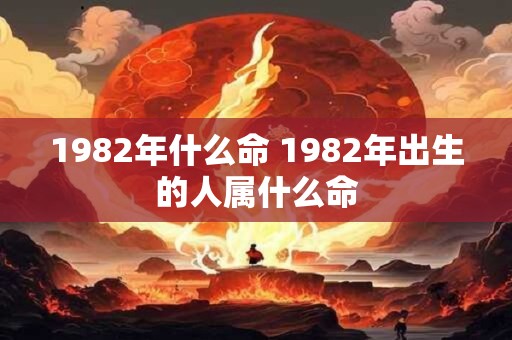 1982年什么命 1982年出生的人属什么命