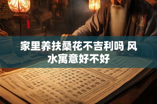 家里养扶桑花不吉利吗 风水寓意好不好
