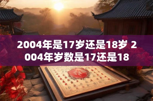 2004年是17岁还是18岁 2004年岁数是17还是18