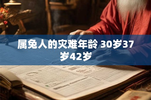 属兔人的灾难年龄 30岁37岁42岁