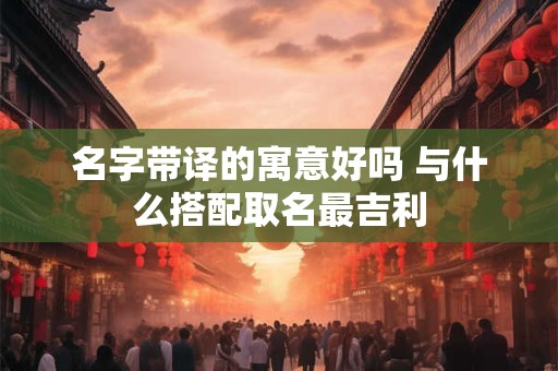 名字带译的寓意好吗 与什么搭配取名最吉利
