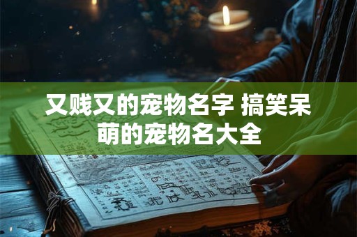 又贱又的宠物名字 搞笑呆萌的宠物名大全 又贱又的宠物名字 搞笑呆萌的宠物名大全