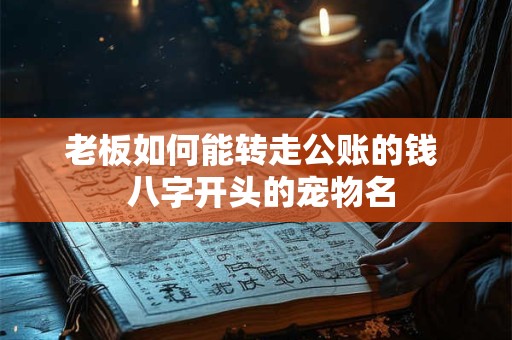老板如何能转走公账的钱  八字开头的宠物名