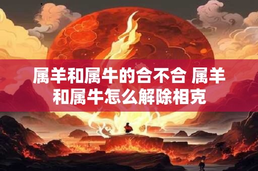 属羊和属牛的合不合 属羊和属牛怎么解除相克