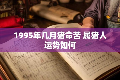 1995年几月猪命苦 属猪人运势如何
