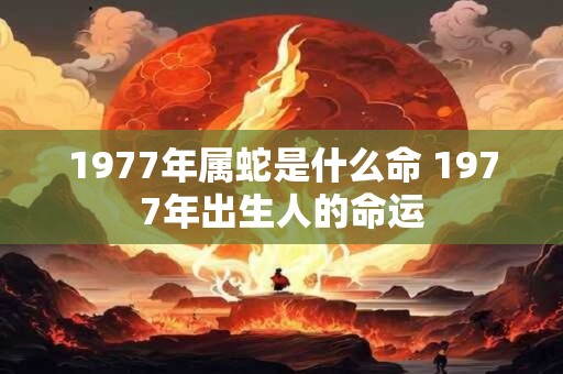 1977年属蛇是什么命 1977年出生人的命运