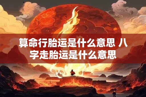 算命行胎运是什么意思 八字走胎运是什么意思 算命行胎运是什么意思 八字走胎运是什么意思