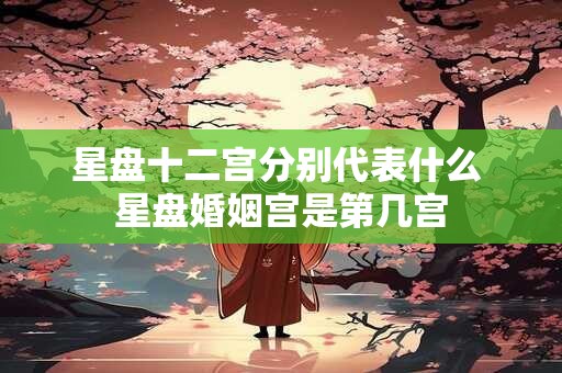 星盘十二宫分别代表什么 星盘婚姻宫是第几宫