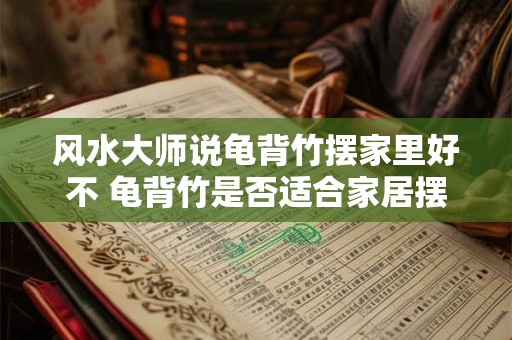 风水大师说龟背竹摆家里好不 龟背竹是否适合家居摆设