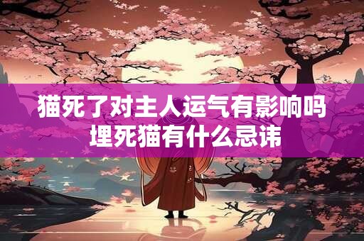 猫死了对主人运气有影响吗 埋死猫有什么忌讳