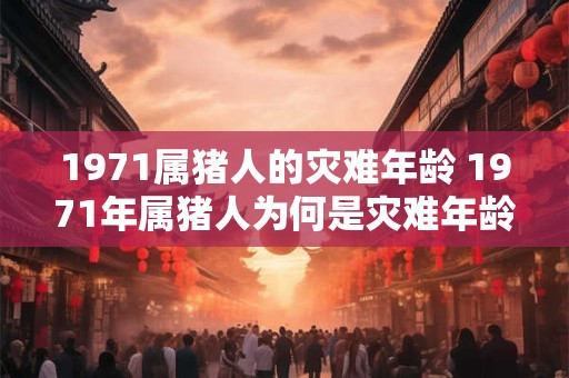 1971属猪人的灾难年龄 1971年属猪人为何是灾难年龄